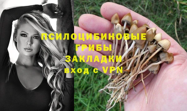 Альфа ПВП Алзамай
